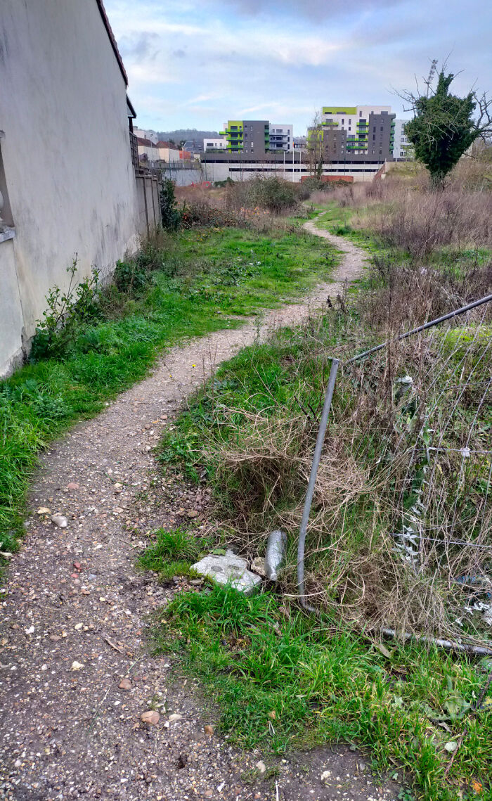 97 Times Urban Planners Failed To Predict What People Want, And It Resulted In &lsquo;Desire Paths&rsquo; (New Pics)