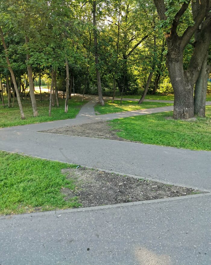 97 Times Urban Planners Failed To Predict What People Want, And It Resulted In &lsquo;Desire Paths&rsquo; (New Pics)