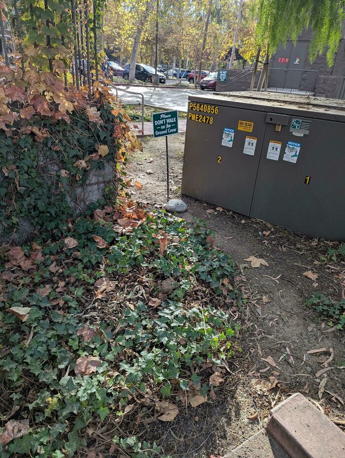 97 Times Urban Planners Failed To Predict What People Want, And It Resulted In &lsquo;Desire Paths&rsquo; (New Pics)