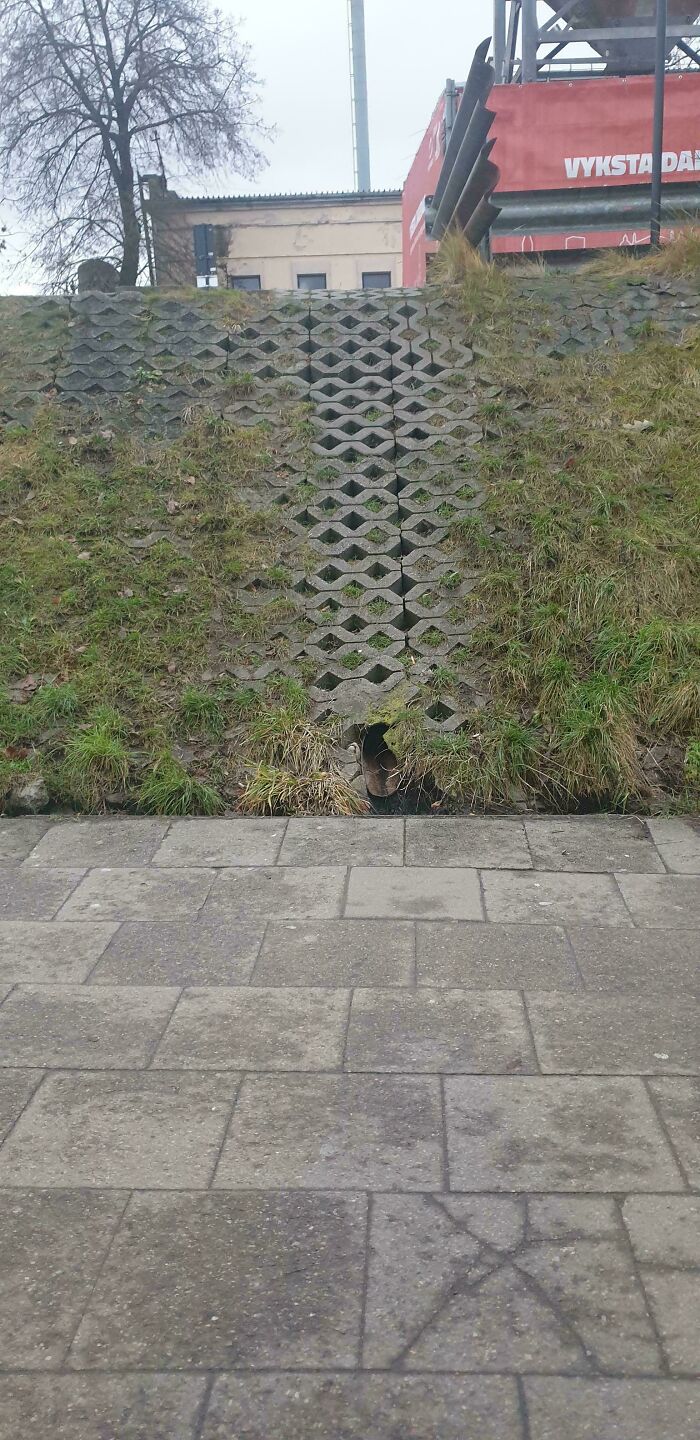 97 Times Urban Planners Failed To Predict What People Want, And It Resulted In &lsquo;Desire Paths&rsquo; (New Pics)