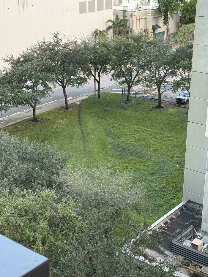 97 Times Urban Planners Failed To Predict What People Want, And It Resulted In &lsquo;Desire Paths&rsquo; (New Pics)