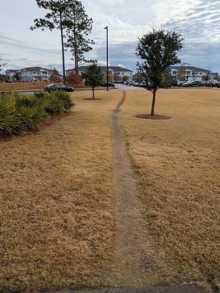97 Times Urban Planners Failed To Predict What People Want, And It Resulted In &lsquo;Desire Paths&rsquo; (New Pics)