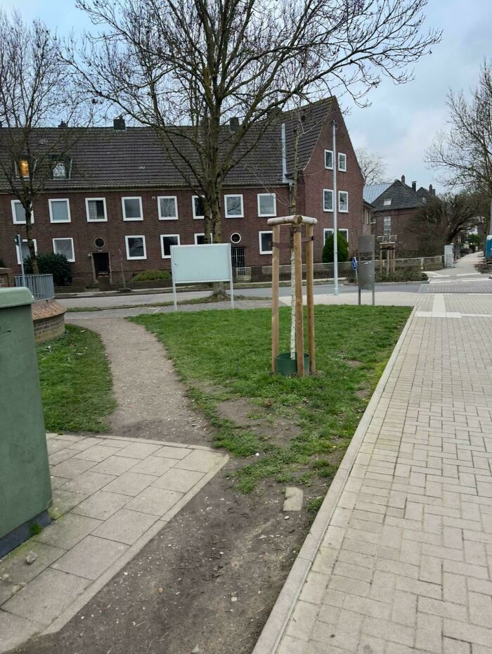 97 Times Urban Planners Failed To Predict What People Want, And It Resulted In &lsquo;Desire Paths&rsquo; (New Pics)