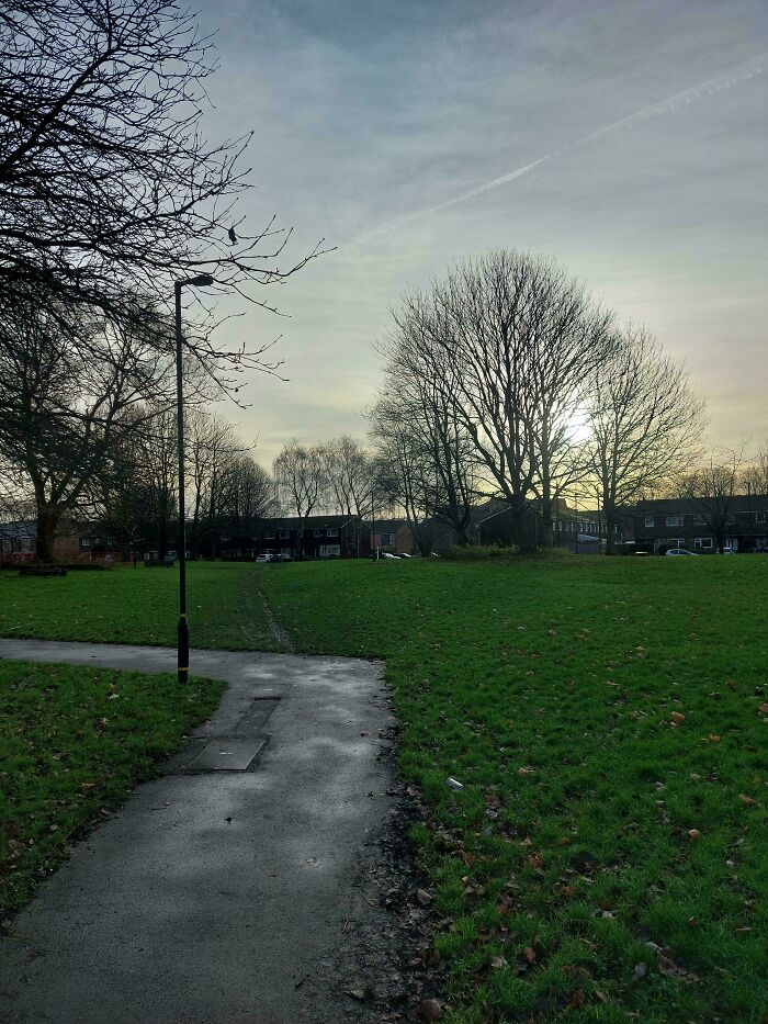 97 Times Urban Planners Failed To Predict What People Want, And It Resulted In &lsquo;Desire Paths&rsquo; (New Pics)
