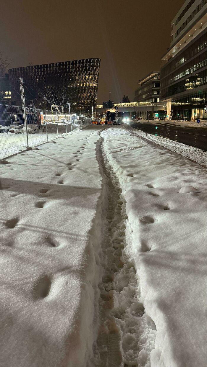 97 Times Urban Planners Failed To Predict What People Want, And It Resulted In &lsquo;Desire Paths&rsquo; (New Pics)