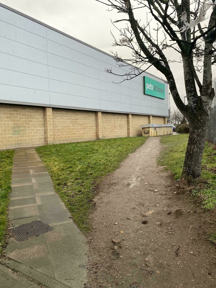 97 Times Urban Planners Failed To Predict What People Want, And It Resulted In &lsquo;Desire Paths&rsquo; (New Pics)