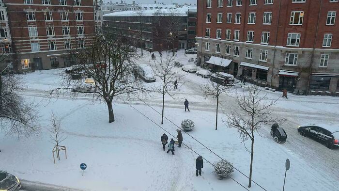 97 Times Urban Planners Failed To Predict What People Want, And It Resulted In &lsquo;Desire Paths&rsquo; (New Pics)