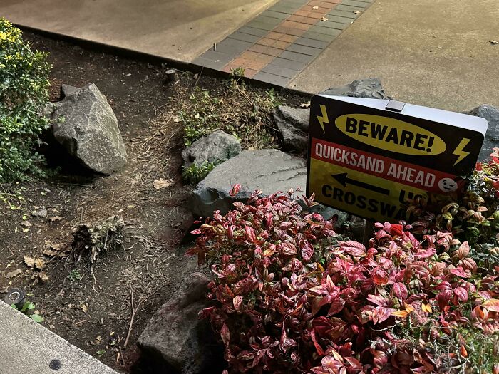 97 Times Urban Planners Failed To Predict What People Want, And It Resulted In &lsquo;Desire Paths&rsquo; (New Pics)