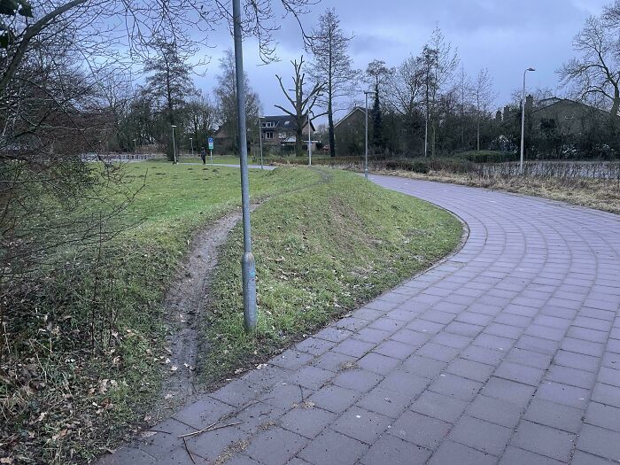 97 Times Urban Planners Failed To Predict What People Want, And It Resulted In &lsquo;Desire Paths&rsquo; (New Pics)