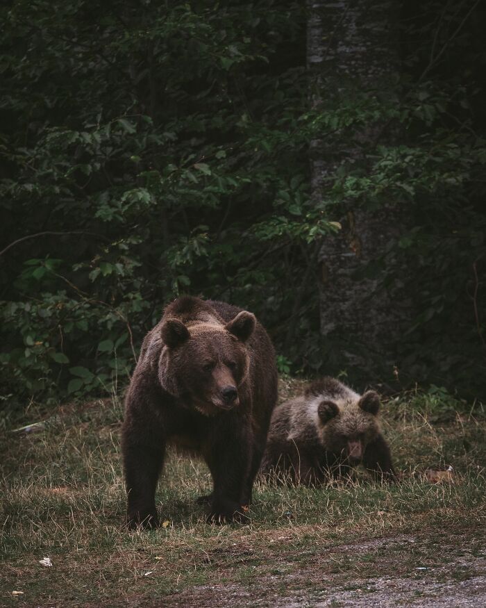 48 Campers Share The Creepiest Things They’ve Ever Experienced 48 Campers Share The Creepiest Things They’ve Ever Experienced