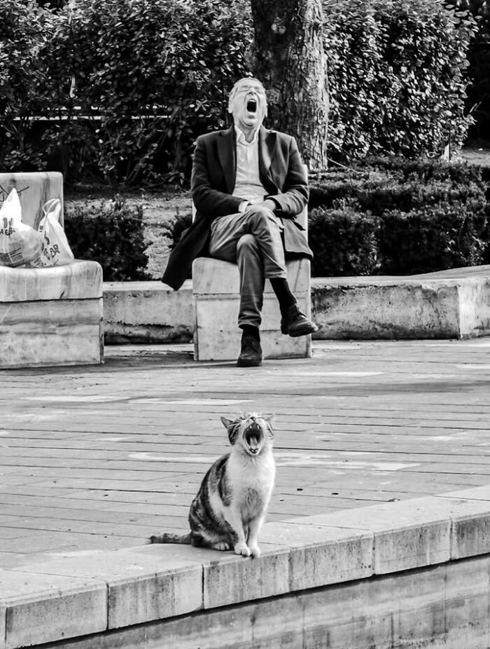 30 Perfectly Timed Street Photos By Mehmet Bayram That Turn Everyday Moments Into Art