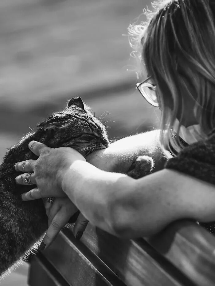 30 Perfectly Timed Street Photos By Mehmet Bayram That Turn Everyday Moments Into Art