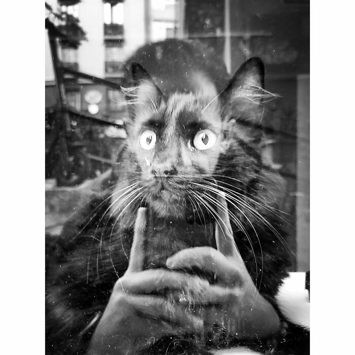 30 Perfectly Timed Street Photos By Mehmet Bayram That Turn Everyday Moments Into Art