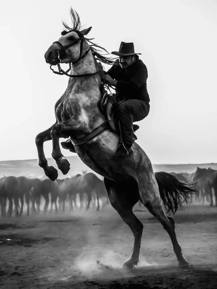 30 Perfectly Timed Street Photos By Mehmet Bayram That Turn Everyday Moments Into Art