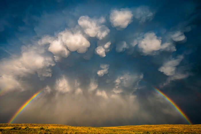 44 Breathtaking Nature Photos That Stood Out At The 2026 Academy Photo Awards
