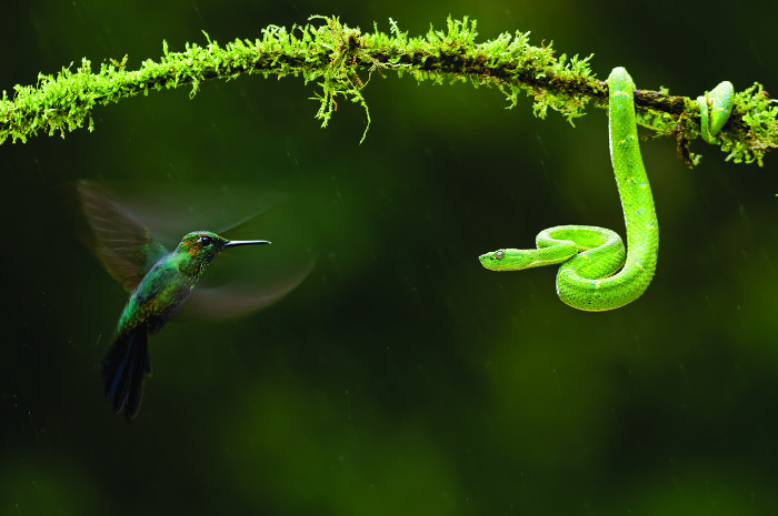 44 Breathtaking Nature Photos That Stood Out At The 2026 Academy Photo Awards