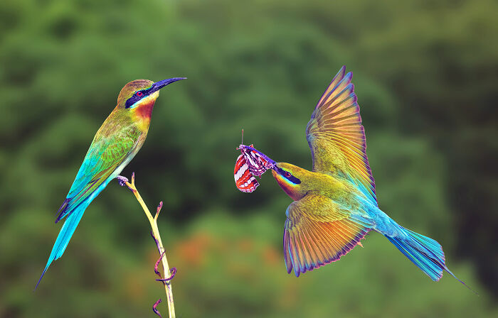 44 Breathtaking Nature Photos That Stood Out At The 2026 Academy Photo Awards