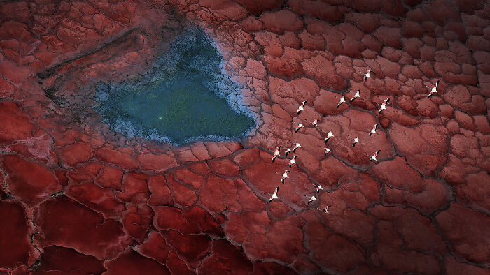 44 Breathtaking Nature Photos That Stood Out At The 2026 Academy Photo Awards