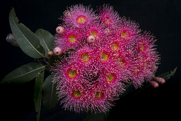 44 Breathtaking Nature Photos That Stood Out At The 2026 Academy Photo Awards
