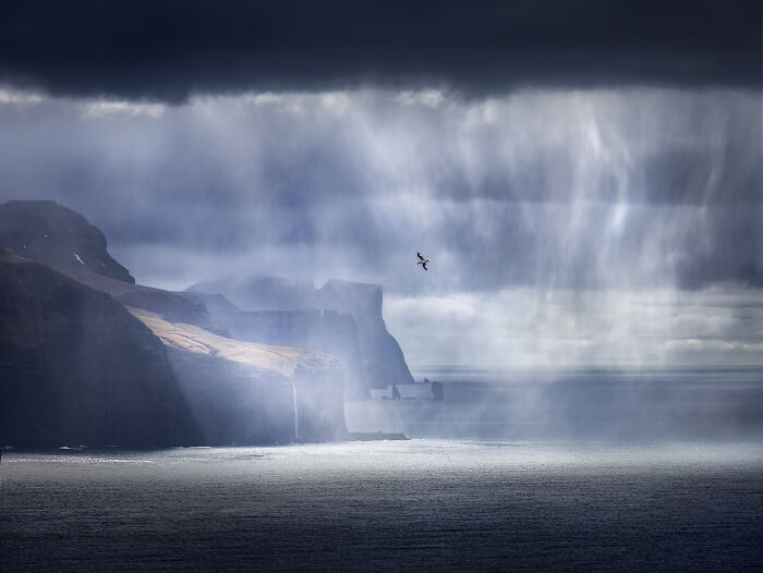 44 Breathtaking Nature Photos That Stood Out At The 2026 Academy Photo Awards