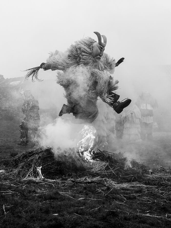 44 Breathtaking Nature Photos That Stood Out At The 2026 Academy Photo Awards