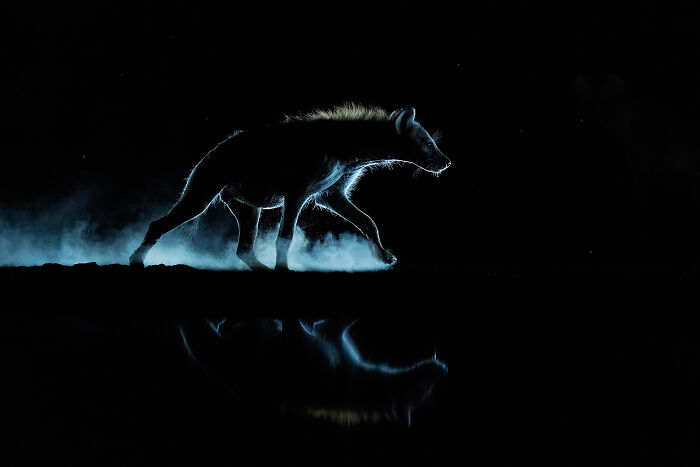 44 Breathtaking Nature Photos That Stood Out At The 2026 Academy Photo Awards