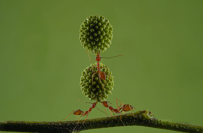 44 Breathtaking Nature Photos That Stood Out At The 2026 Academy Photo Awards