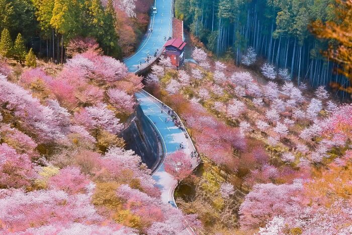 44 Breathtaking Nature Photos That Stood Out At The 2026 Academy Photo Awards