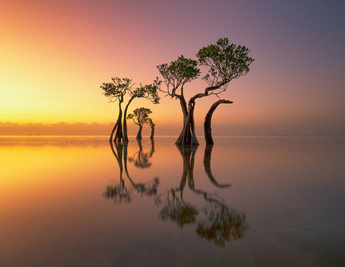 44 Breathtaking Nature Photos That Stood Out At The 2026 Academy Photo Awards