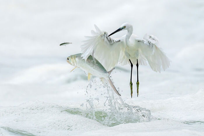 44 Breathtaking Nature Photos That Stood Out At The 2026 Academy Photo Awards