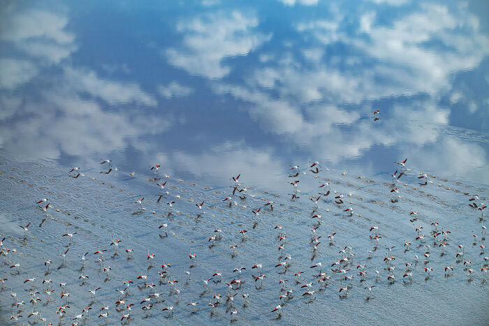 44 Breathtaking Nature Photos That Stood Out At The 2026 Academy Photo Awards