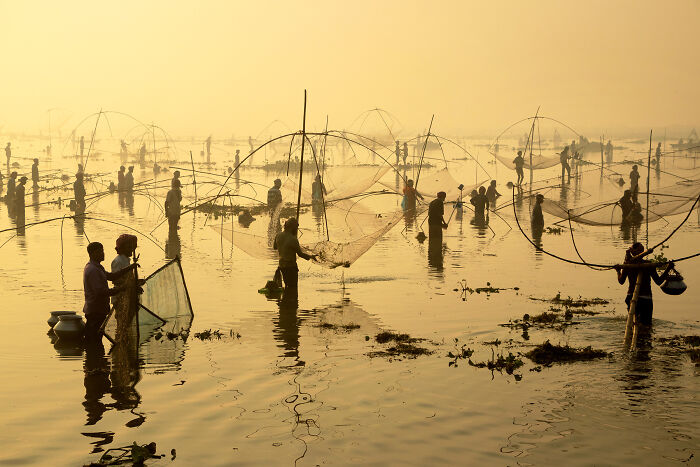 44 Breathtaking Nature Photos That Stood Out At The 2026 Academy Photo Awards