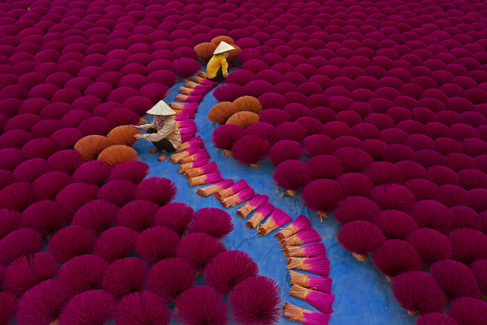 44 Breathtaking Nature Photos That Stood Out At The 2026 Academy Photo Awards