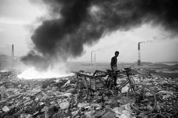 44 Breathtaking Nature Photos That Stood Out At The 2026 Academy Photo Awards