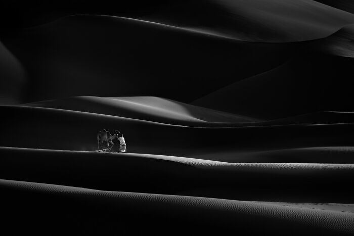 44 Breathtaking Nature Photos That Stood Out At The 2026 Academy Photo Awards