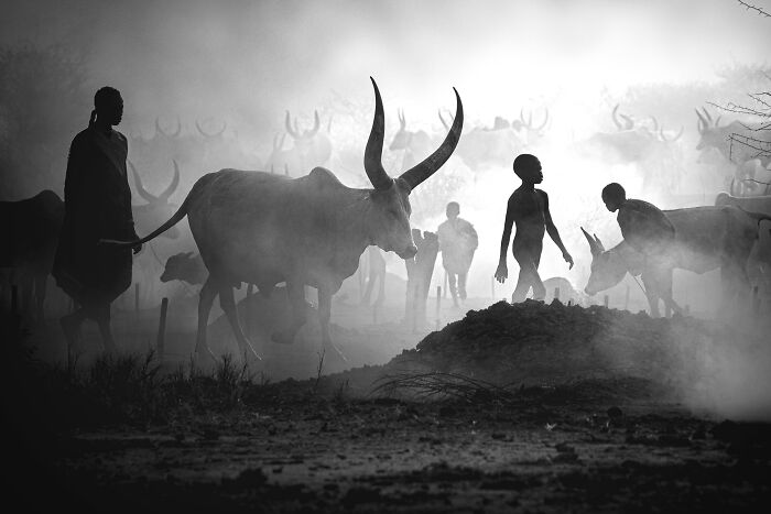 44 Breathtaking Nature Photos That Stood Out At The 2026 Academy Photo Awards