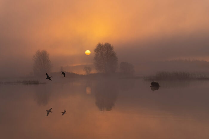 44 Breathtaking Nature Photos That Stood Out At The 2026 Academy Photo Awards