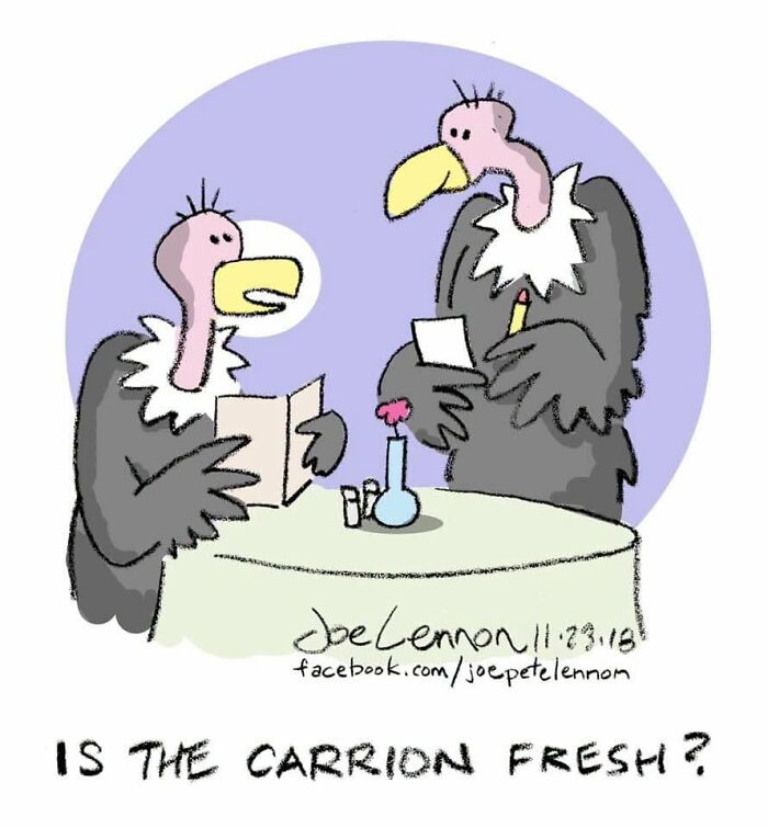 Joe Lennon’s Latest 51 Comics Prove Life’s Tiny Awkward Moments Are Funny Joe Lennon’s Latest 51 Comics Prove Life’s Tiny Awkward Moments Are Funny