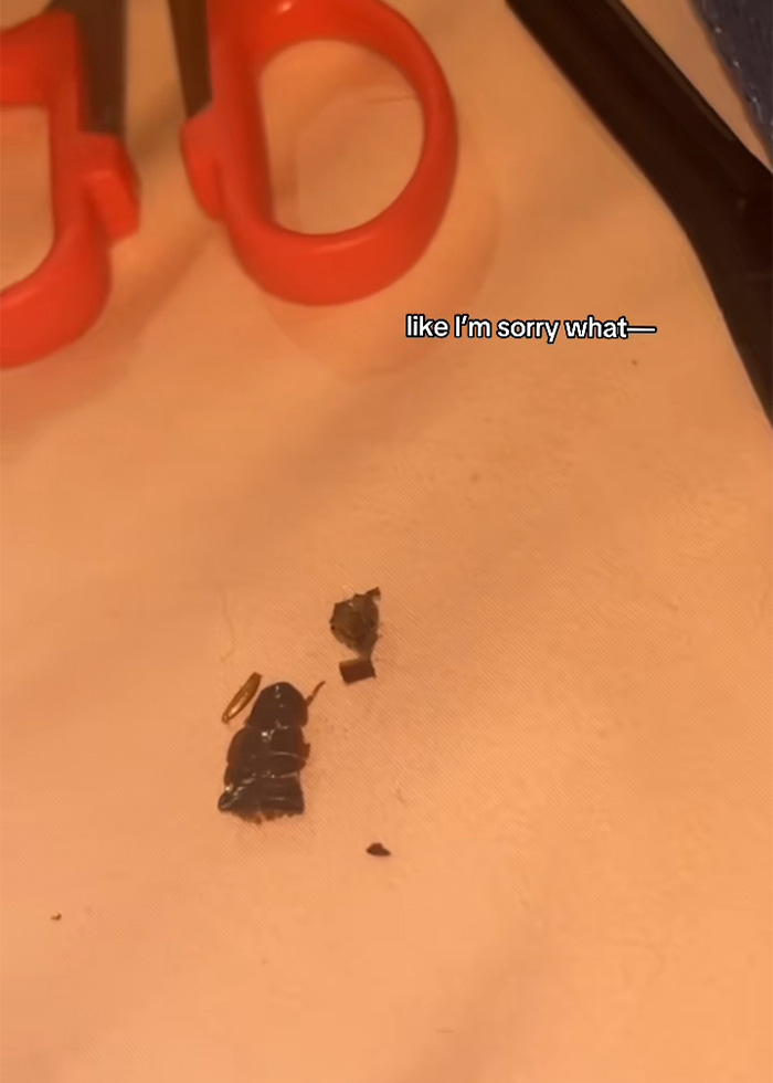 “That Is Witchcraft”: Bride Receives Foreboding Warning After Revealing What Tailor Sewed Into Her Wedding Dress