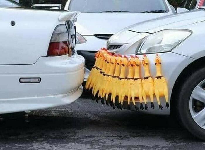 73 Jerk Neighbors Who Need An Urgent Lesson In Parking Or Common Sense 73 Jerk Neighbors Who Need An Urgent Lesson In Parking Or Common Sense