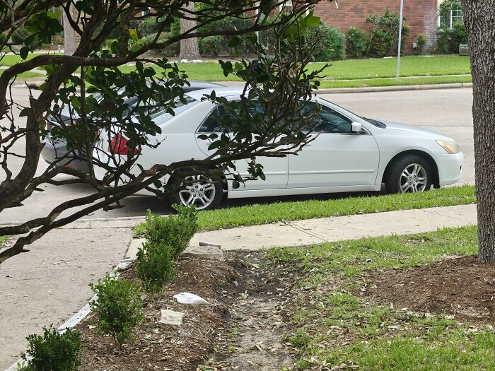 73 Jerk Neighbors Who Need An Urgent Lesson In Parking Or Common Sense 73 Jerk Neighbors Who Need An Urgent Lesson In Parking Or Common Sense