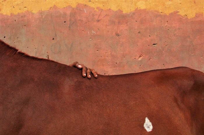 40 Mesmerizing Winning Photos From The LensCulture Street Photography Awards 2026