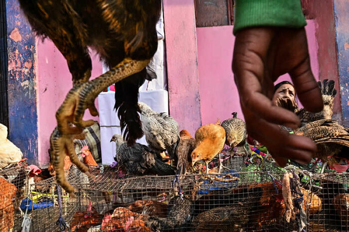 40 Mesmerizing Winning Photos From The LensCulture Street Photography Awards 2026