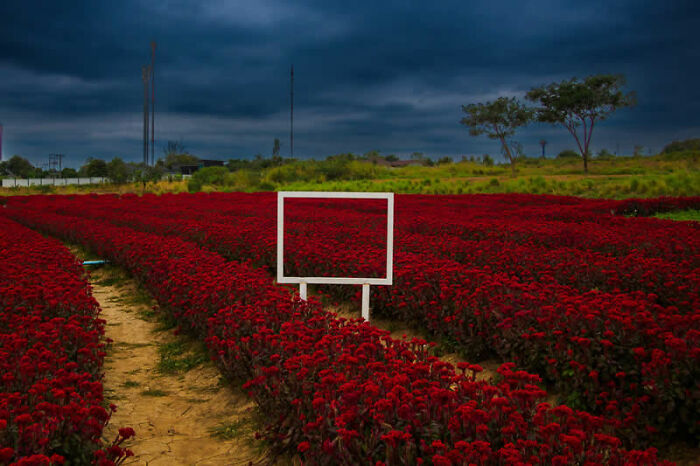 40 Mesmerizing Winning Photos From The LensCulture Street Photography Awards 2026