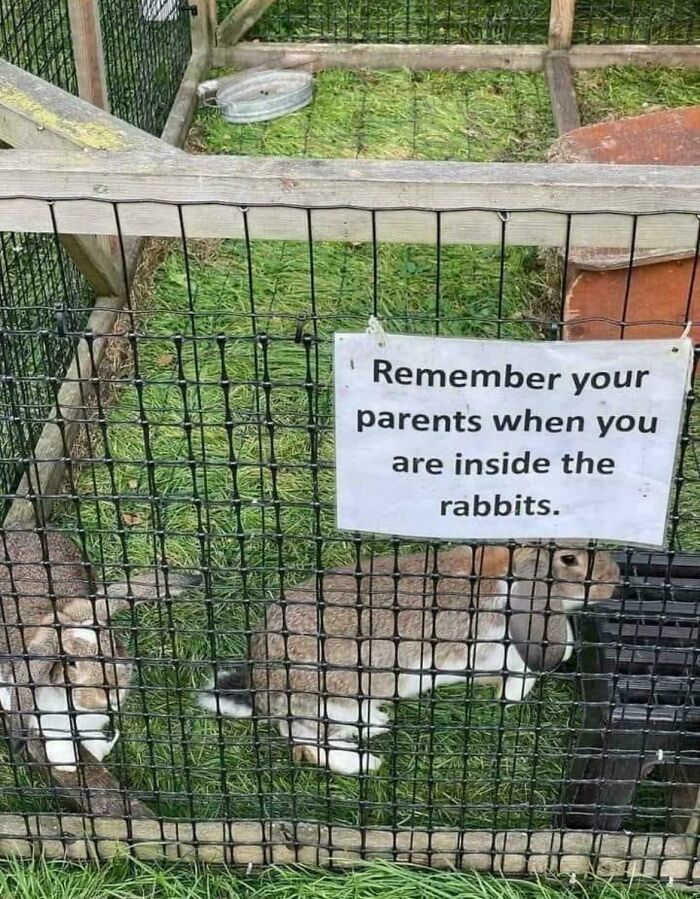 91 People Who Accidentally Created Comedy Gold With Their Broken English (New Pics)