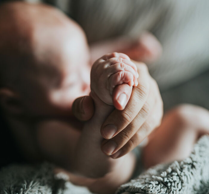 Major Update In Case Of Surrogate Trying To Save Baby After Biological Parents Demand Pregnancy Be Terminated Major Update In Case Of Surrogate Trying To Save Baby After Biological Parents Demand Pregnancy Be Terminated