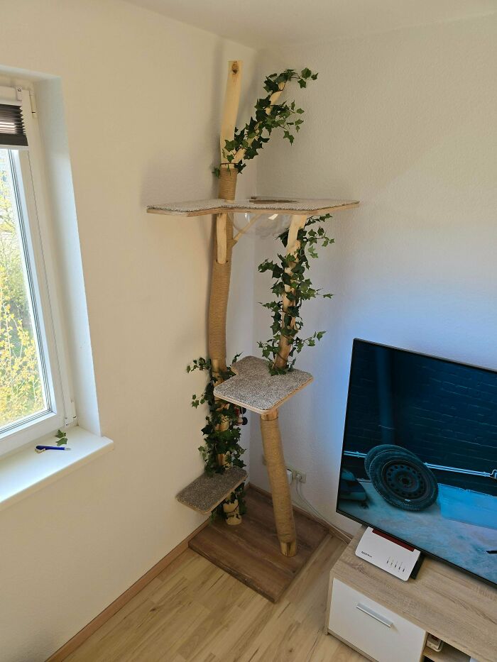 67 Brilliant DIY Home Projects That Prove You Don’t Need A Huge Budget To Transform A Space 67 Brilliant DIY Home Projects That Prove You Don’t Need A Huge Budget To Transform A Space