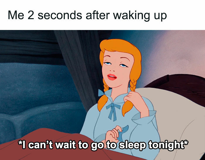77 Hilarious Memes That Might Be The Reason Why You Go To Bed In A Good Mood Tonight 77 Hilarious Memes That Might Be The Reason Why You Go To Bed In A Good Mood Tonight