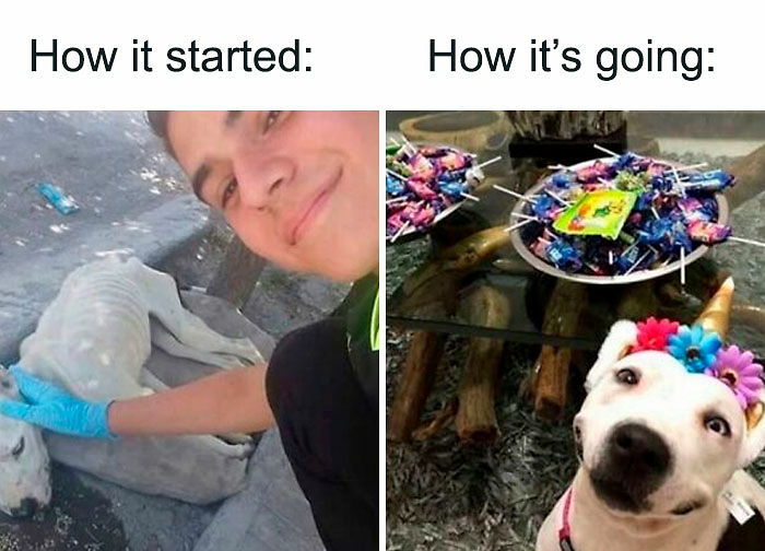 77 Hilarious Memes That Might Be The Reason Why You Go To Bed In A Good Mood Tonight 77 Hilarious Memes That Might Be The Reason Why You Go To Bed In A Good Mood Tonight