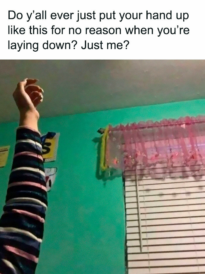 77 Hilarious Memes That Might Be The Reason Why You Go To Bed In A Good Mood Tonight 77 Hilarious Memes That Might Be The Reason Why You Go To Bed In A Good Mood Tonight